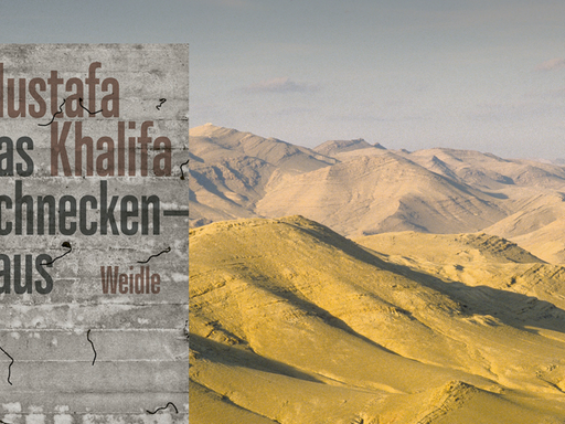 Im Vordergrund ist das Cover des Buches "Das Schneckenhaus" zu sehen, im Hintergrund eine Wüstenlandschaft in Syrien in der nähe der Stadt Palmyra. Dort spielt der Roman.