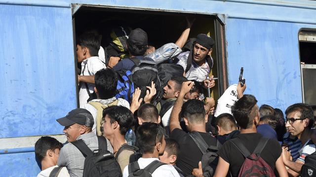 Flüchtlinge versuchen im Juli 2015 in Gevgelija/Mazedonien einen Zug nach Serbien zu nehmen.