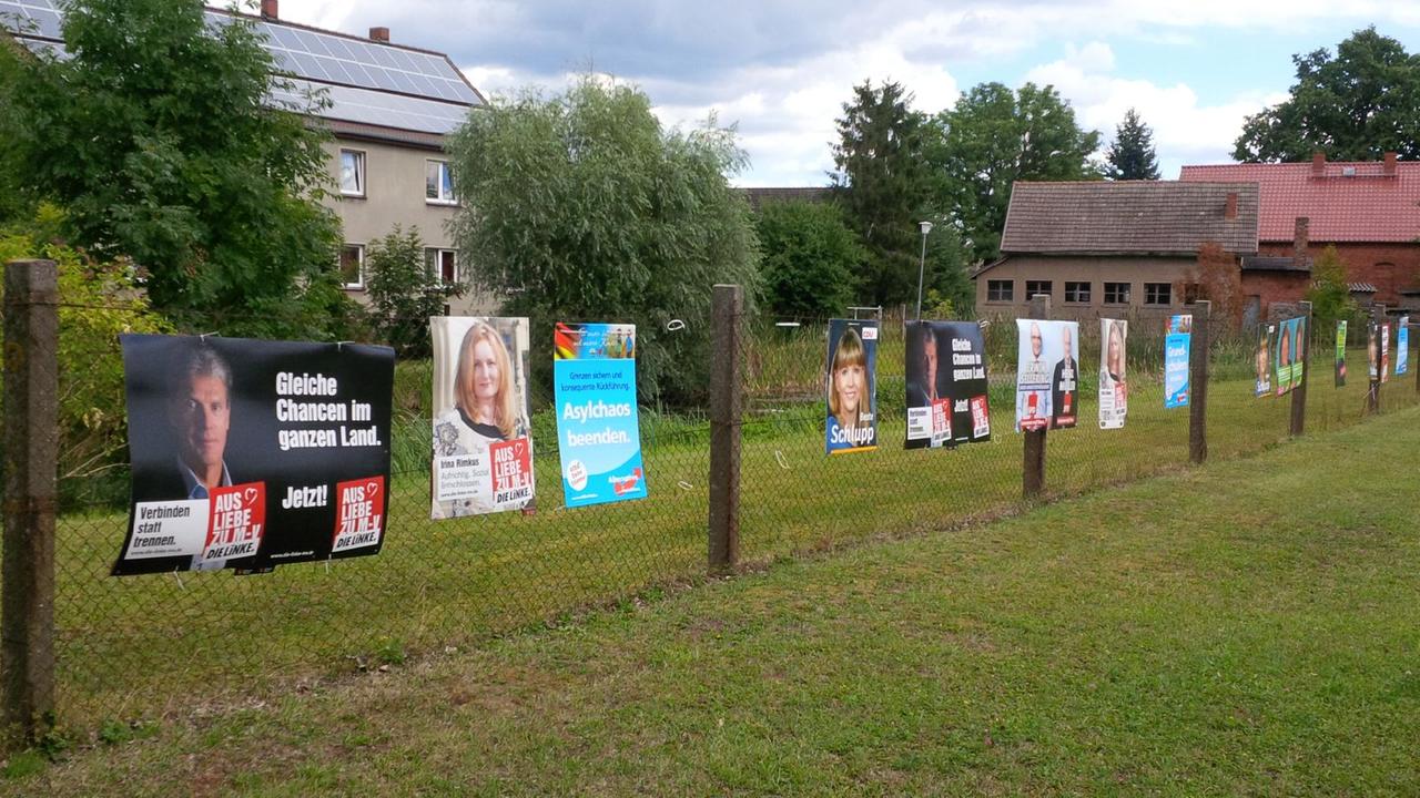 Wahlplakate verschiedener Parteien hängen in Mecklenburg-Vorpommern nebeneinander an einem Zaun.