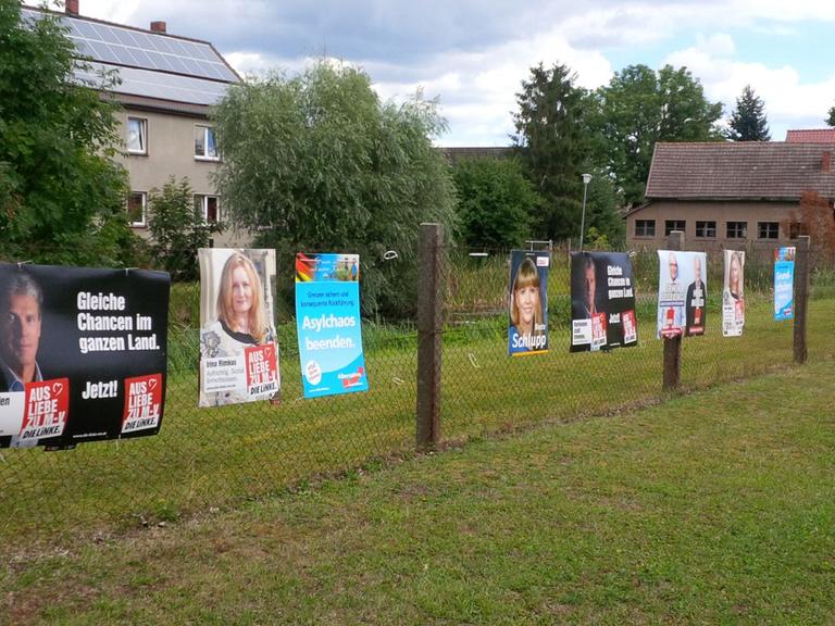 Wahlplakate verschiedener Parteien hängen in Mecklenburg-Vorpommern nebeneinander an einem Zaun.
