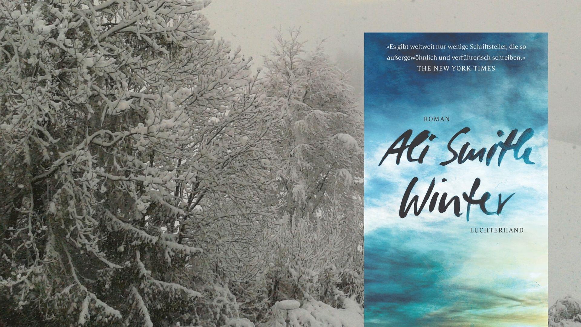 Buchcover: Ali Smith: „Winter“ Buchcover: Ali Smith: „Winter“