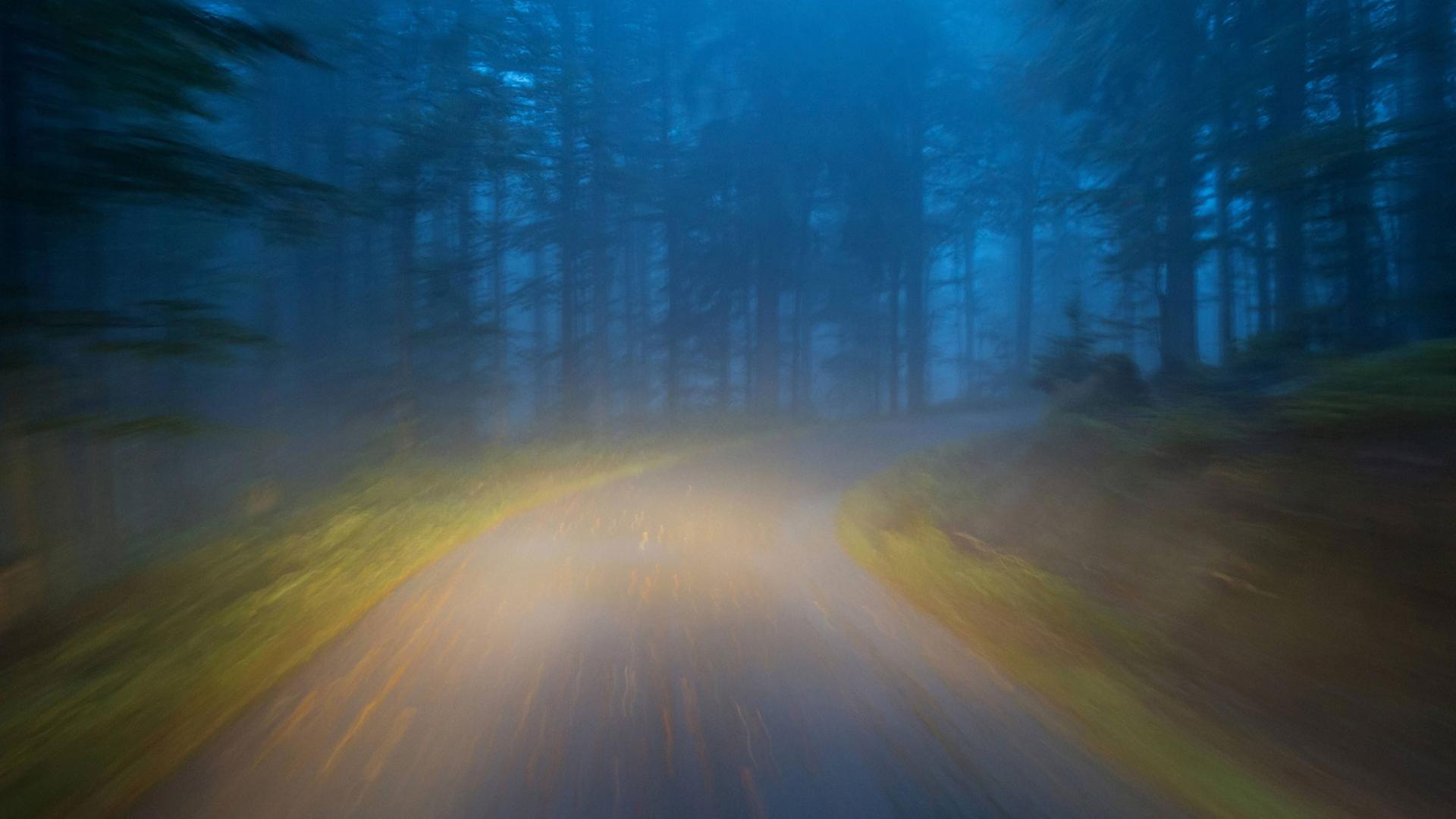 Abendliche Autofahrt durch einen Wald. Abendliche Autofahrt durch einen Wald.
