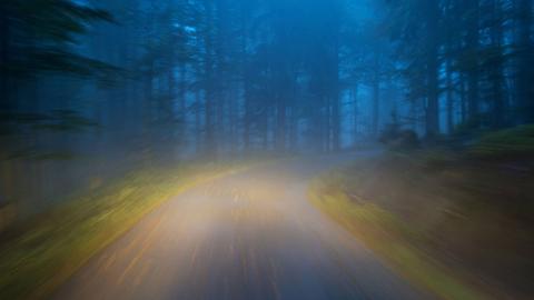 Abendliche Autofahrt durch einen Wald aus der Perspektive des Fahrers. Scheinwerferlicht erhellt die Straße.