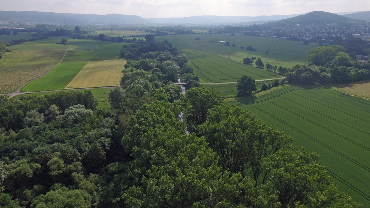 Der Fluss Kinzig zwischen Äckern und Feldern aus der Luft gesehen