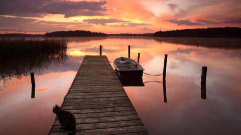 Sonnenaufgang an einem See im Land Brandenburg