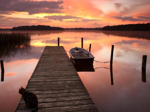 Sonnenaufgang an einem See im Land Brandenburg
