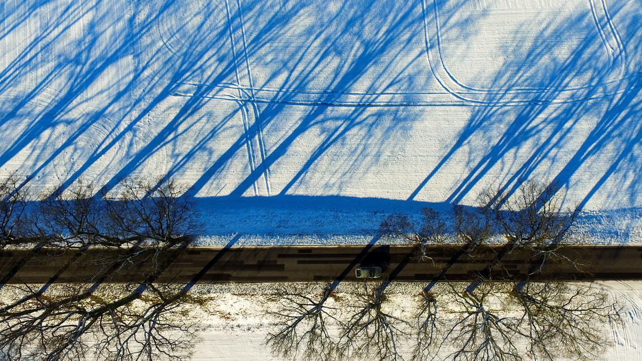 Alleenbäume werfen lange Schatten auf ein verschneites Feld im Landkreis Oder-Spree nahe Sieversdorf / Brandenburg – fotografiert mit einer Drohne.