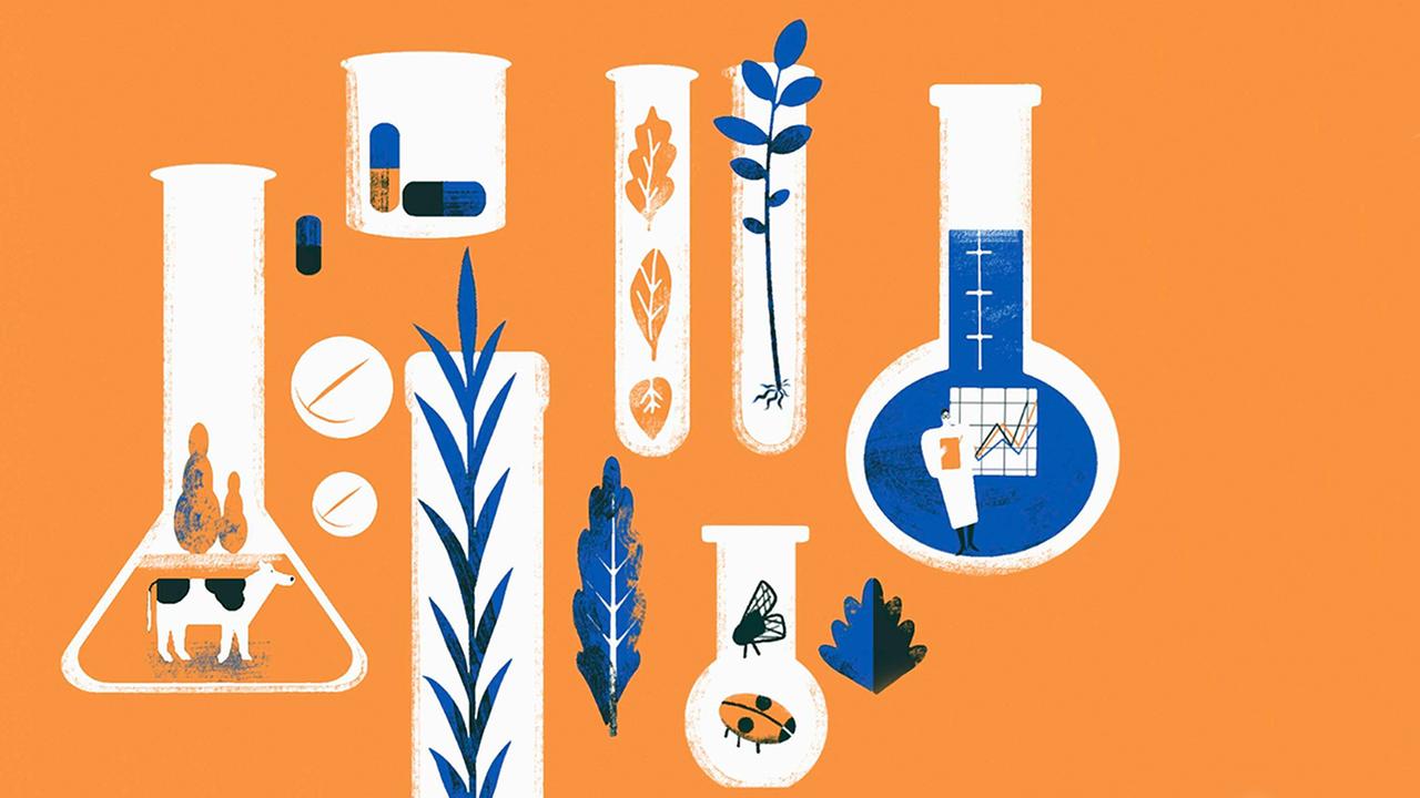 Illustration: Verschiedene Reagenzgläser mit unterschiedlichem Inhalt auf orangenem Hintergrund. Illustration: Verschiedene Reagenzgläser mit unterschiedlichem Inhalt auf orangenem Hintergrund.