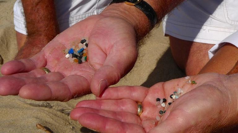 Diese Kunststoffpartikel schwemmt die Nordsee an - Hans und Marja van Weenen sammeln Kunststoff am Strand. Diese Kunststoffpartikel schwemmt die Nordsee an - Hans und Marja van Weenen sammeln Kunststoff am Strand.