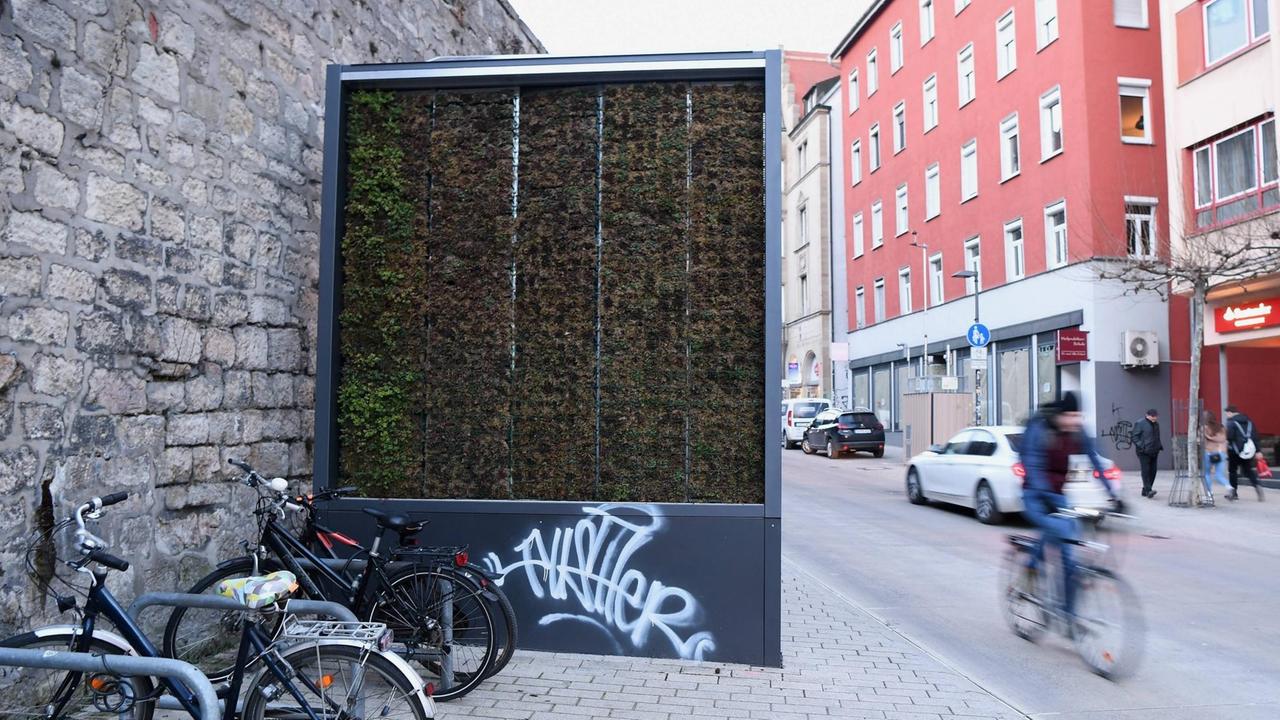 Eine Mooswand zur Reinigung der schlechten Luft hat die Stadt Tuebingen in der Innenstadt in der Mühlstrasse installiert. Eine Mooswand zur Reinigung der schlechten Luft hat die Stadt Tuebingen in der Innenstadt in der Mühlstrasse installiert.