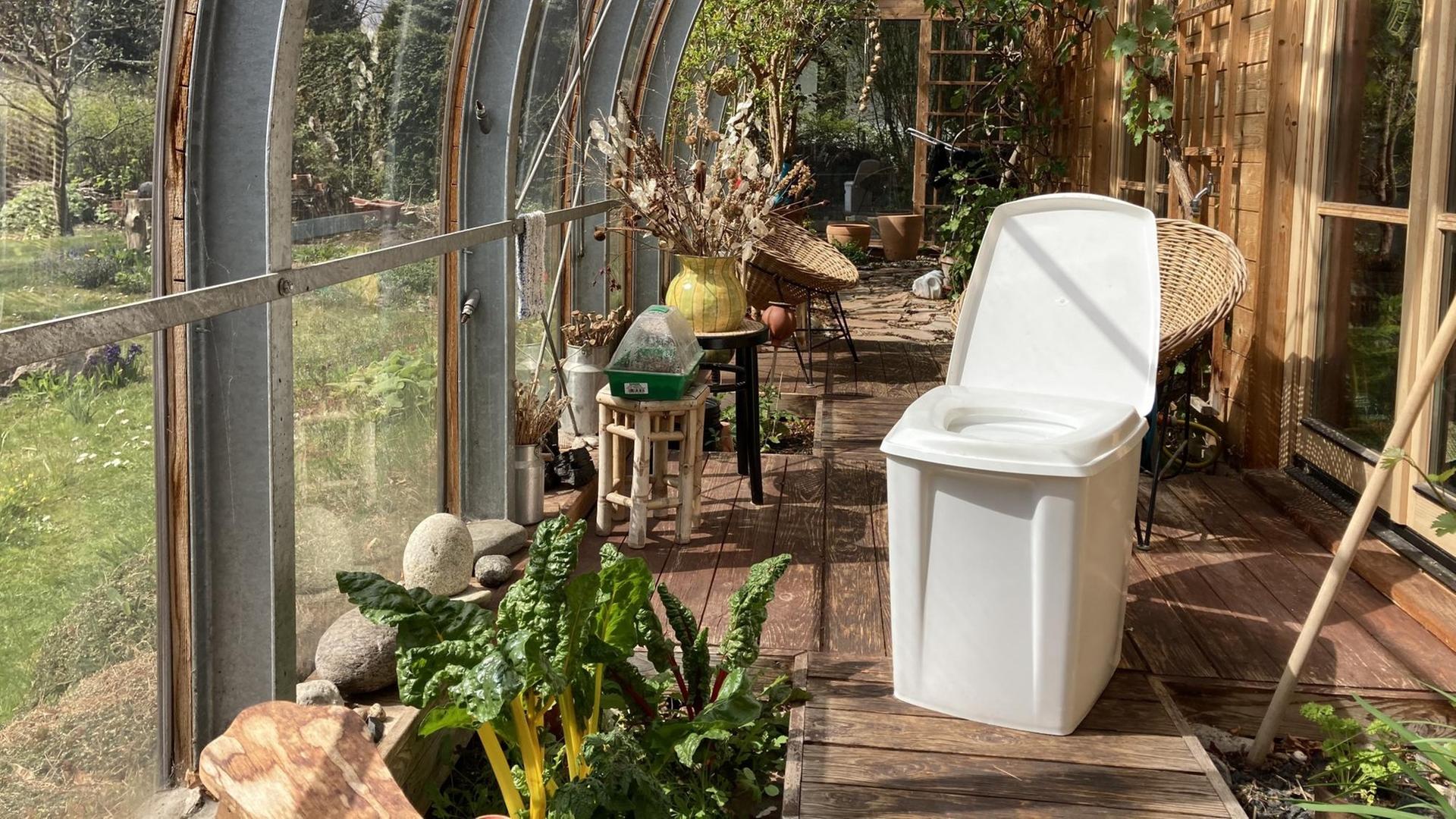 Die in der Trockentrenntoilette gesammelten Fäzes stellt der Bodenkundler Haiko Pieplow seinen Pflanzen in Humusform zum Wachstum zur Verfügung. Die in der Trockentrenntoilette gesammelten Fäzes stellt der Bodenkundler Haiko Pieplow seinen Pflanzen in Humusform zum Wachstum zur Verfügung.
