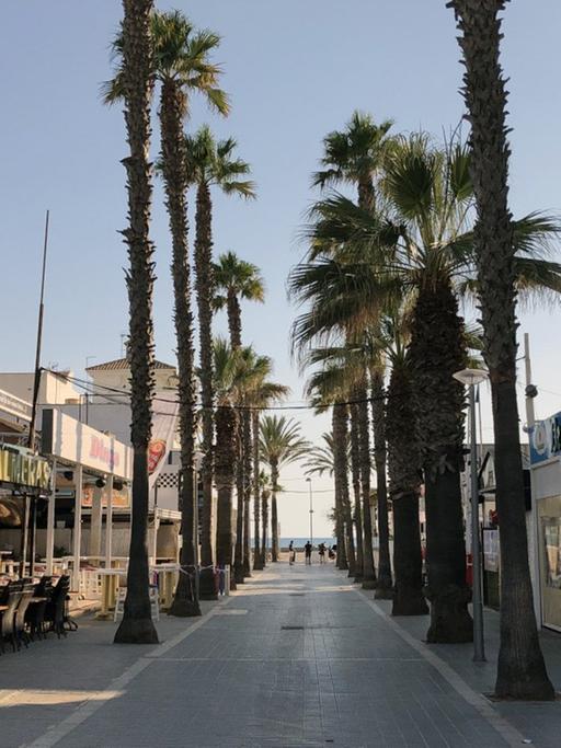 Leere Straße auf Mallorca