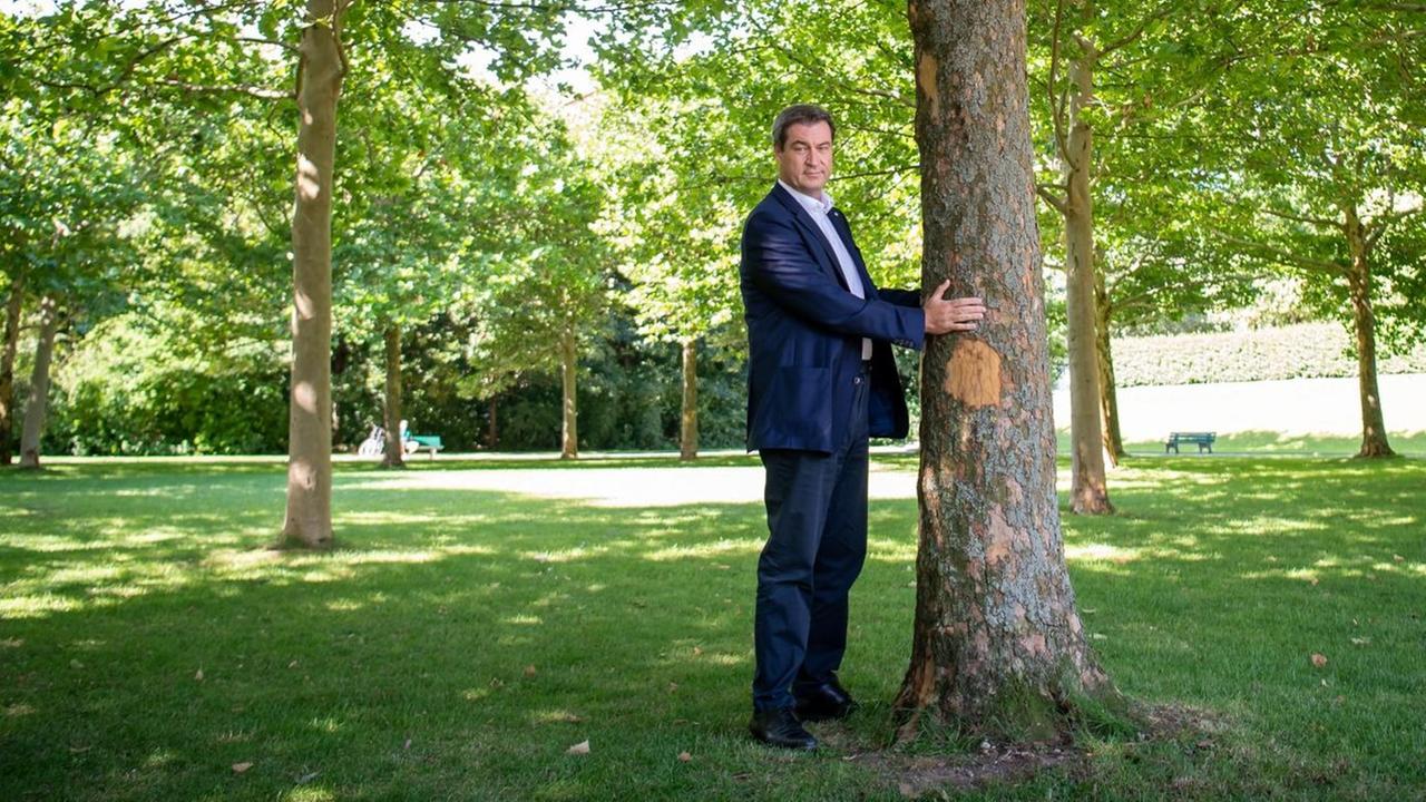 Markus Söder (CSU), Ministerpräsident von Bayern umarmt einen Baum im Hofgarten hinter der bayerischen Staatskanzlei. 10.07.2019. Markus Söder (CSU), Ministerpräsident von Bayern umarmt einen Baum im Hofgarten hinter der bayerischen Staatskanzlei. 10.07.2019.
