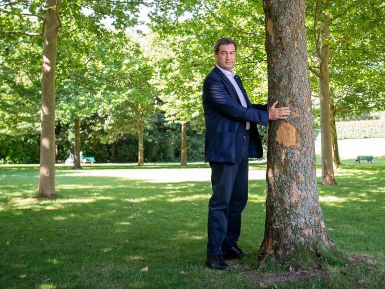 Markus Söder (CSU), Ministerpräsident von Bayern umarmt einen Baum im Hofgarten hinter der bayerischen Staatskanzlei. 10.07.2019.