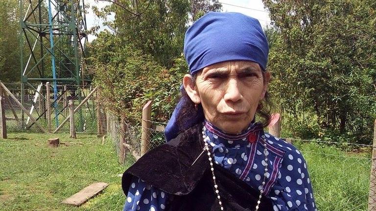 Für Francisca Linconao ist es sehr wichtig in Verbindung mit der Natur zu sein, denn sie arbeitet mit Heilpflanzen. Für Francisca Linconao ist es sehr wichtig in Verbindung mit der Natur zu sein, denn sie arbeitet mit Heilpflanzen.