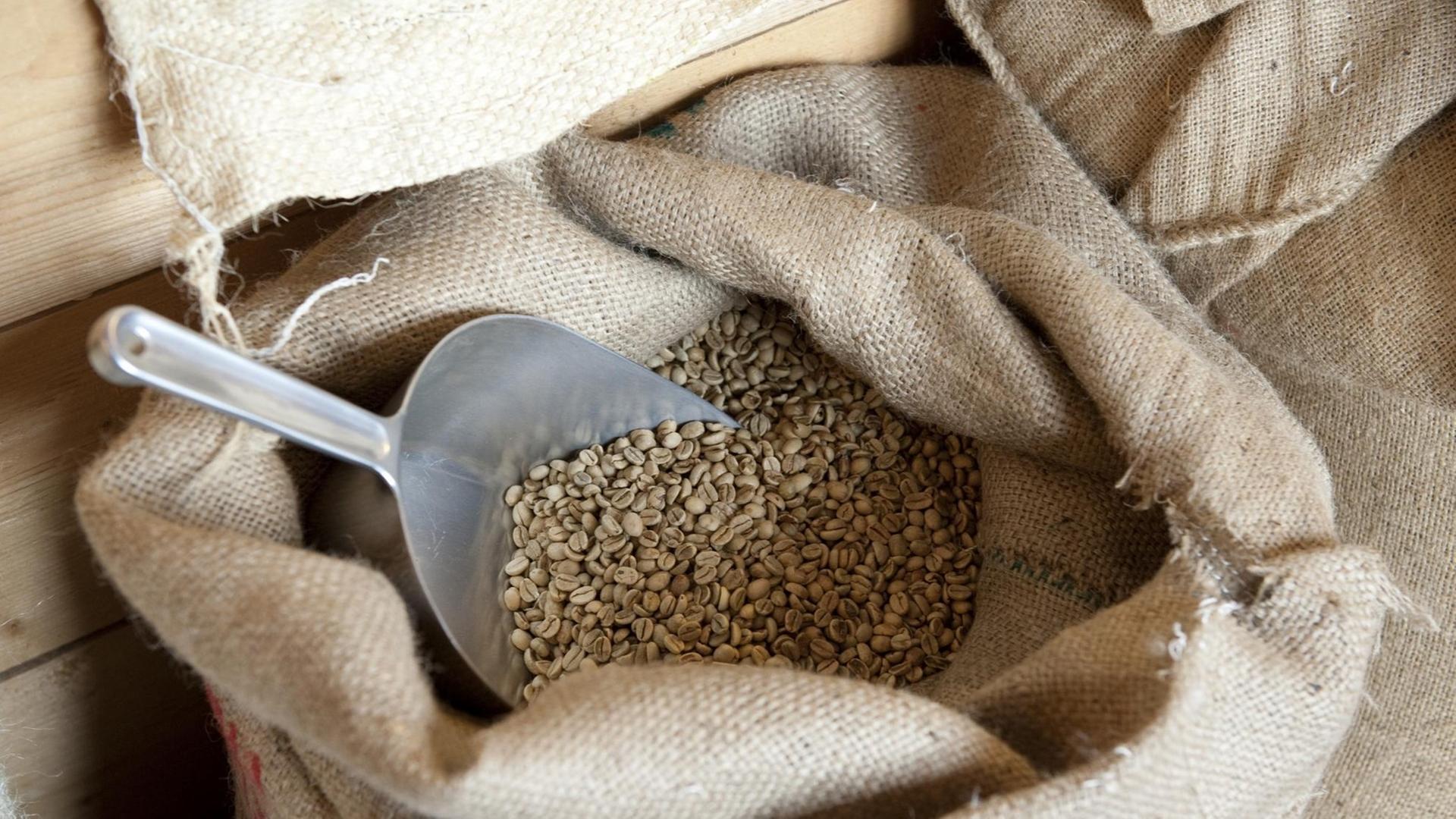 Ein offener Sack mit Kaffeebohnen und einer Schaufel aus Metall darin steht auf dem Boden. Ein offener Sack mit Kaffeebohnen und einer Schaufel aus Metall darin steht auf dem Boden.
