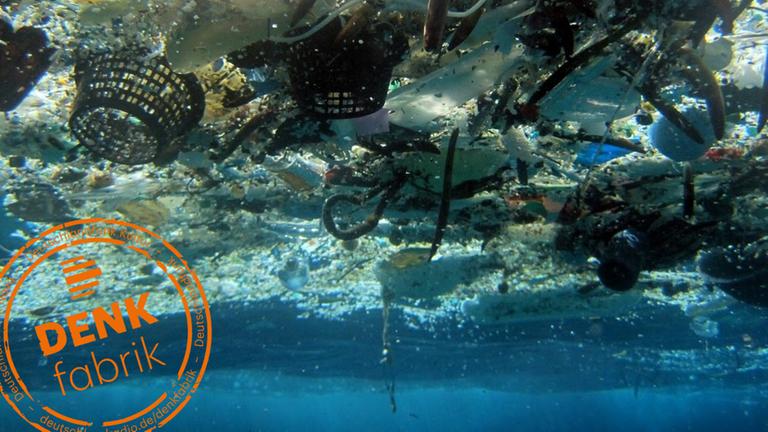 Plastikmüll im Pazifik in der Hanauma-Bucht vor Hawaii. Plastikmüll im Pazifik in der Hanauma-Bucht vor Hawaii.