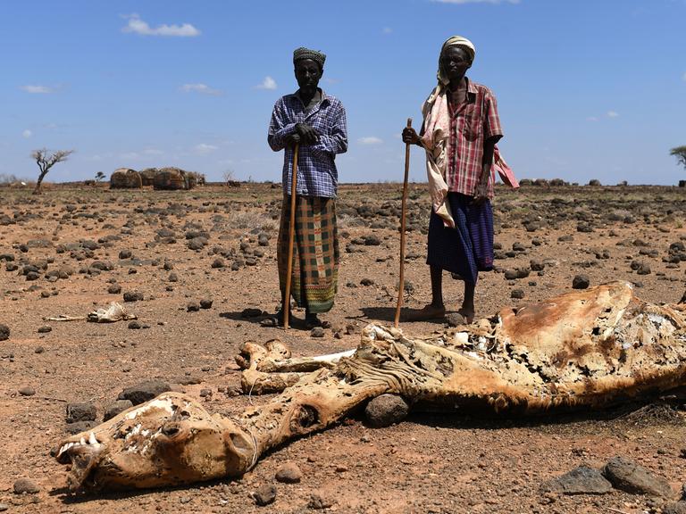 Zwei Bauern stehen vor einem toten Kamel, aufgenommen im Juni 2017, während einer Nahrungsmittelverteilung in Yaa Sharbana im Norden Kenias