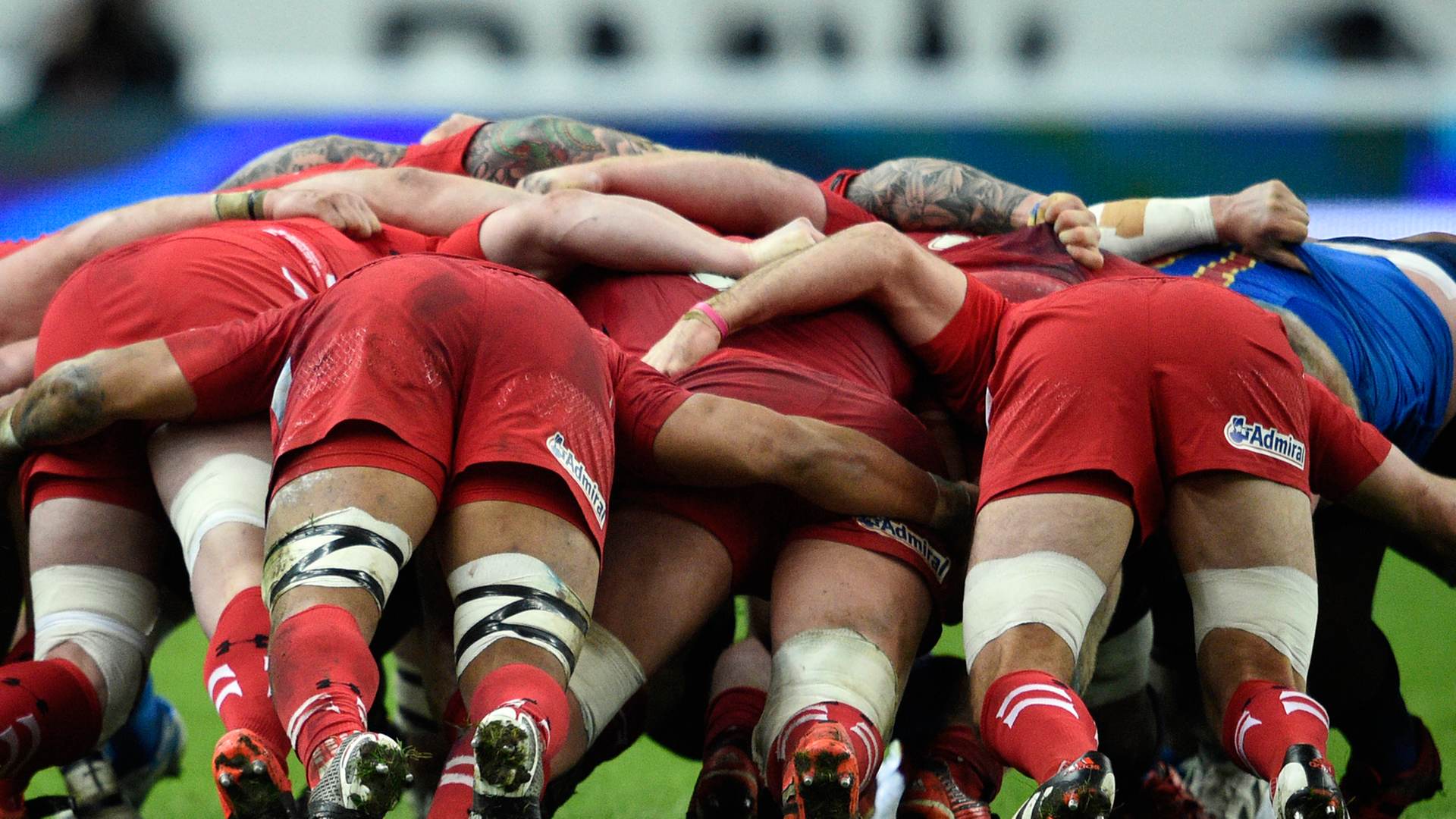 Rugby-Match Frankreich gegen Wales am 28.2.2015 in Paris Rugby-Match Frankreich gegen Wales am 28.2.2015 in Paris
