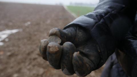 Eine Hand im schwarzem mit Erde bedeckten Handschuh hält eine alte Münze, im Hintergrund sieht man einen Acker und ein Stück Wiese.