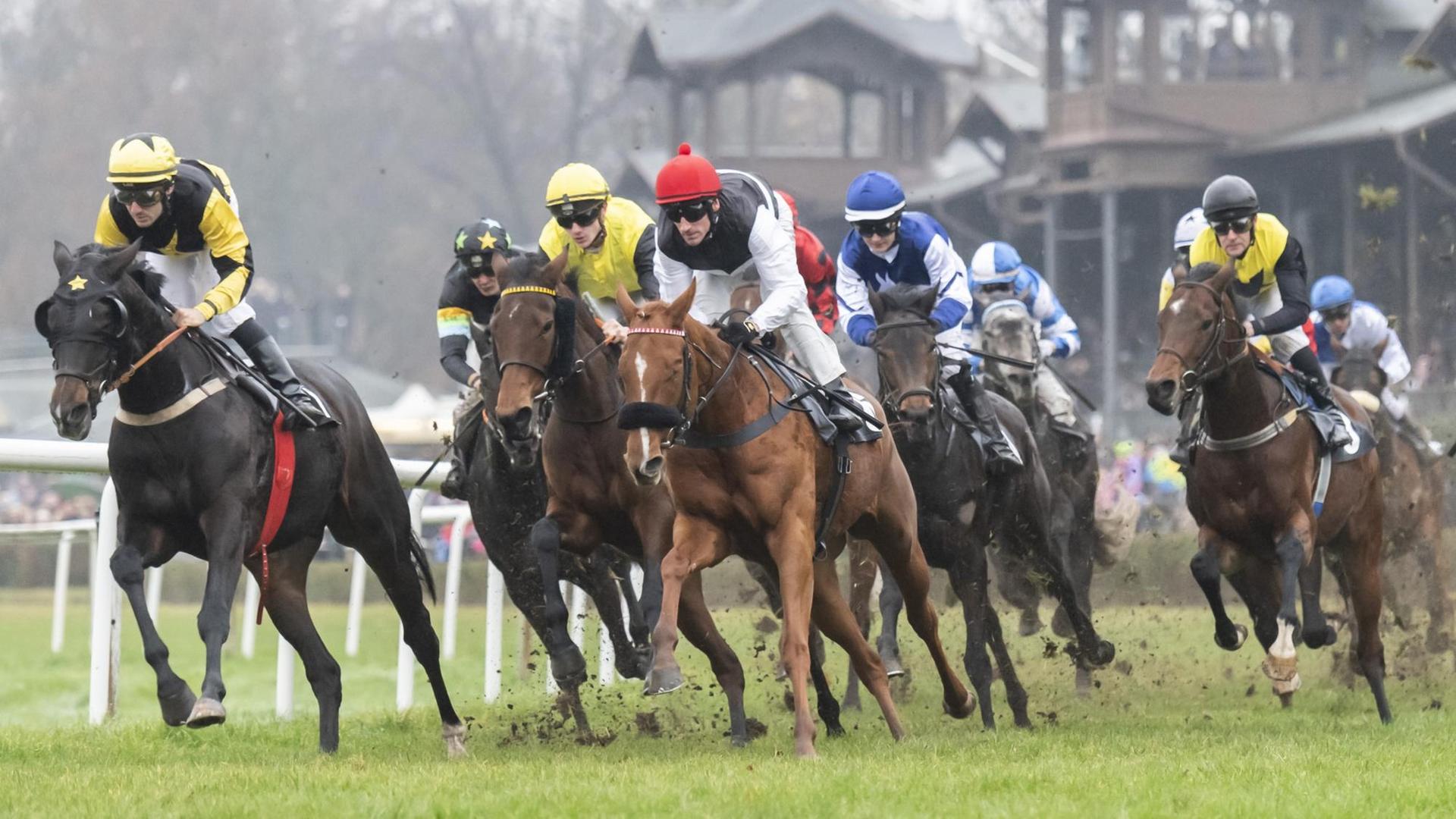 20.11.2019, Rennen 6, Preis der Mitglieder des DRV, Galopp, letzter Renntag in Dresden-Seidnitz, *** 20 11 2019, race 6, prize of the members of the DRV, gallop, last race day in Dresden Seidnitz, 20.11.2019, Rennen 6, Preis der Mitglieder des DRV, Galopp, letzter Renntag in Dresden-Seidnitz, *** 20 11 2019, race 6, prize of the members of the DRV, gallop, last race day in Dresden Seidnitz,