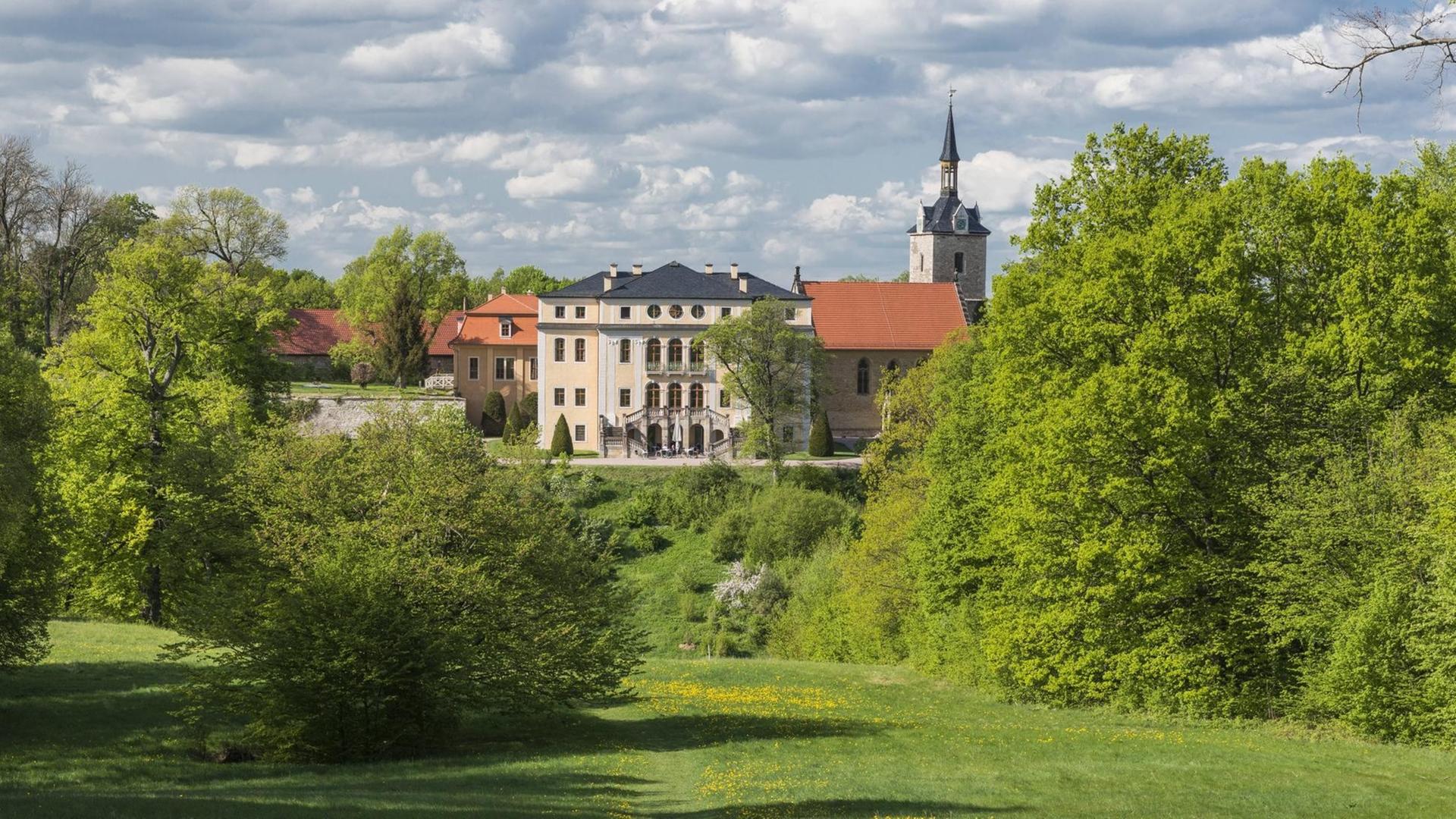 Sommerlicher Blick auf das gelbe Barockgebäude mit Freitreppe und die Wiesen des Landschaftsparkes von Schloss Ettersburg, das auch von Bäumen umgeben ist.