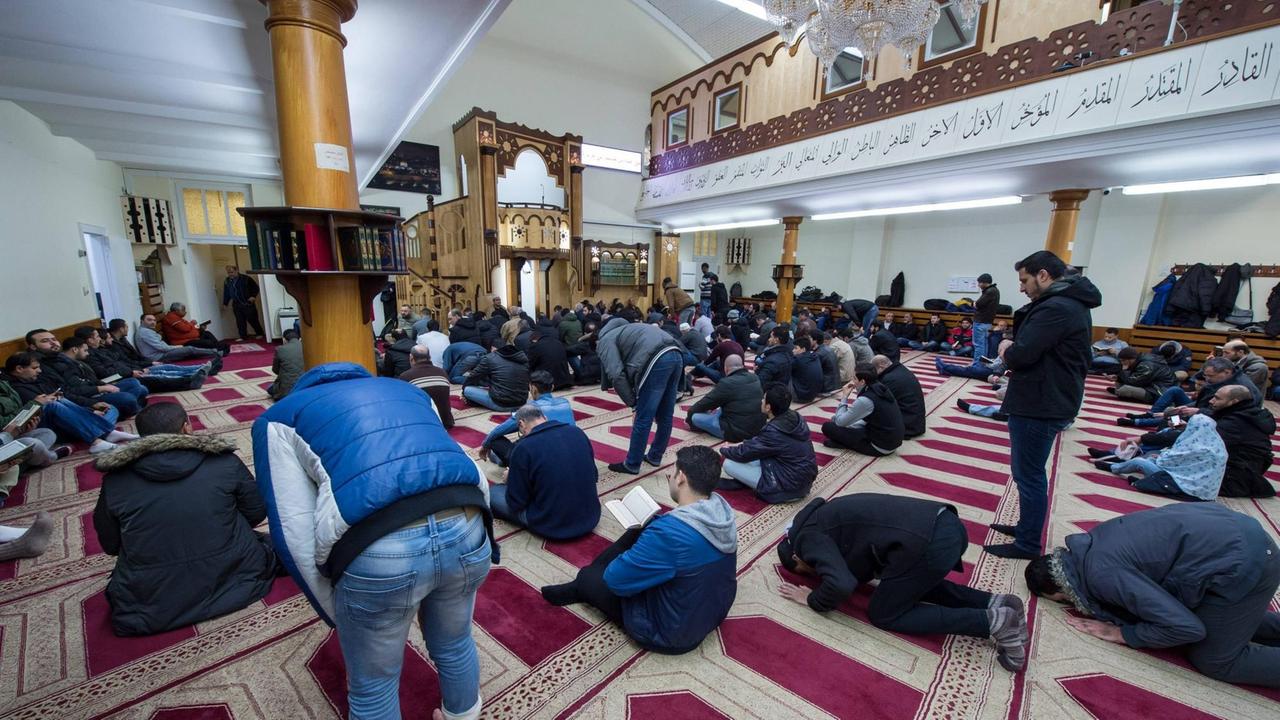 Freitagsgebet in der Dar Assalam Moschee in Berlin-Neukölln. Im Bild: Gläubige beim privaten Gebet vor dem Gottesdienst