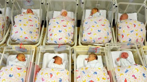 Für ein Foto liegen viele Babys zusammen auf der Neugeborenenstation im Krankenhaus St. Elisabeth und St. Barbara in Halle in ihren Bettchen, aufgenommen am 05.01.2011.