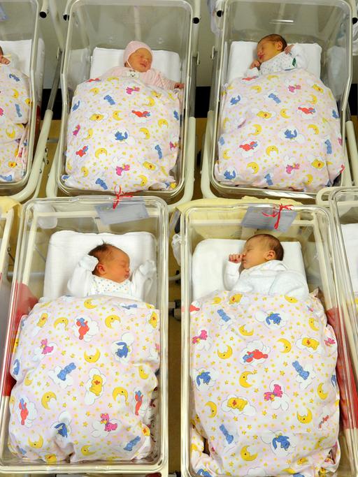 Für ein Foto liegen viele Babys zusammen auf der Neugeborenenstation im Krankenhaus St. Elisabeth und St. Barbara in Halle in ihren Bettchen, aufgenommen am 05.01.2011.
