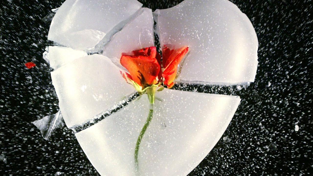 Ein gebrochenes Herz aus Eis mit einer roten Rose in der Mitte. Ein gebrochenes Herz aus Eis mit einer roten Rose in der Mitte.