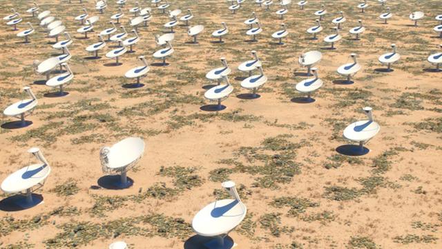 Das geplante Netz von 15-Meter-Antennen in Südafrika (Zeichnung)