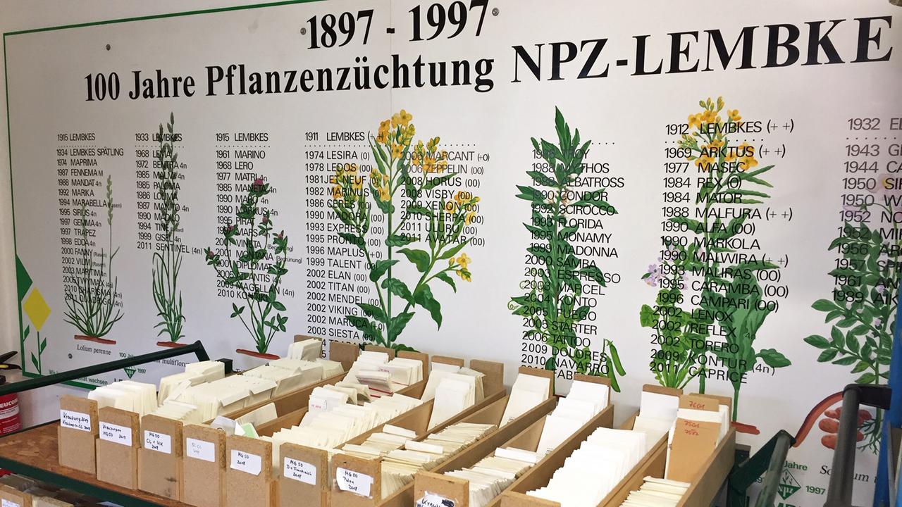 Eine Tafel, auf denen die Zuchterfolge der NPZ Lemke von 1897 bis 1997 aufgelistet sind, davor mehrere Holzkästen.