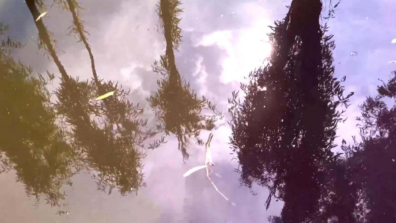 Filmstill aus Rabih Mroués "Cheers to our wishes": Mehrere Bäume spiegeln sich auf einer Wasseroberfläche wider.