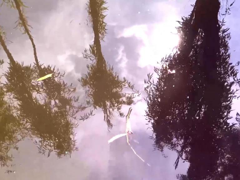 Filmstill aus Rabih Mroués "Cheers to our wishes": Mehrere Bäume spiegeln sich auf einer Wasseroberfläche wider.