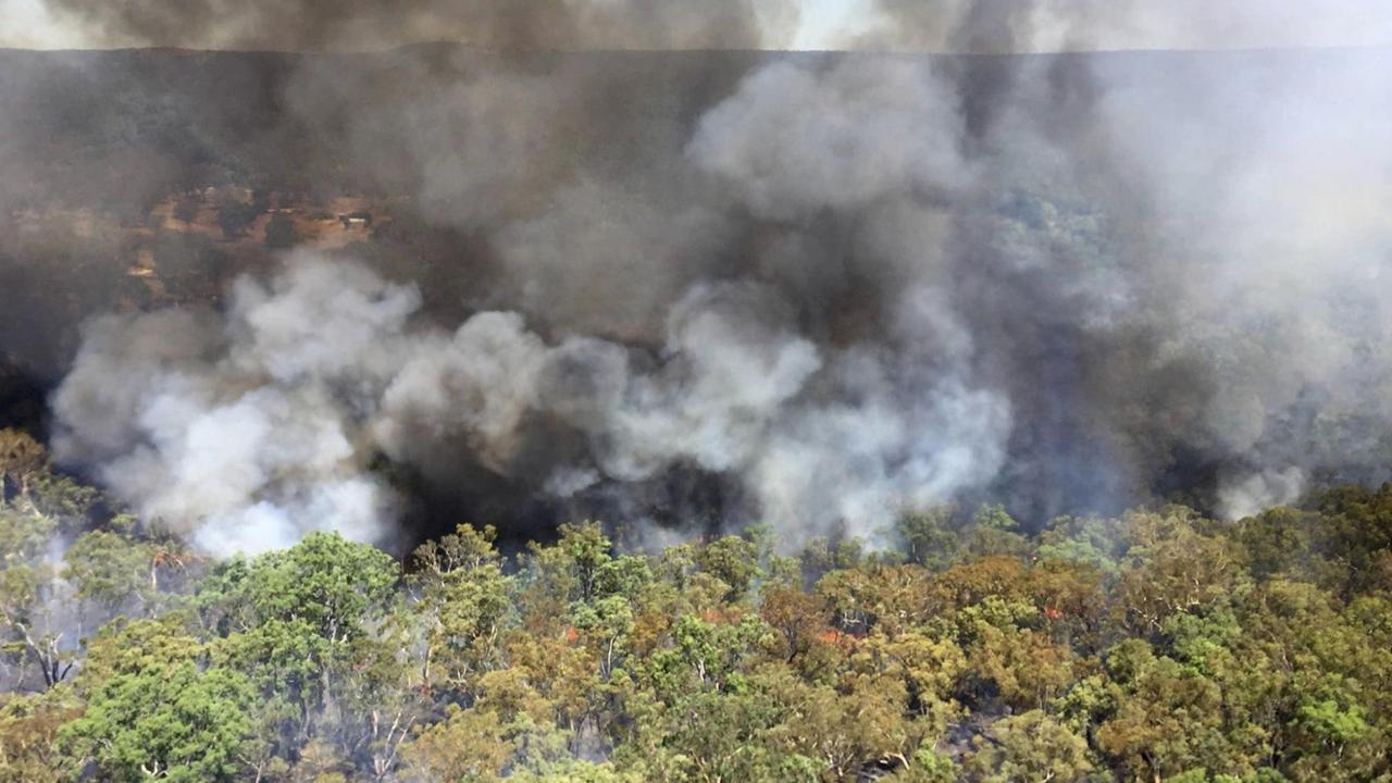 HANDOUT - Das Bild zeigt Rauchschwaden, die über einem Waldbrand nahe Mudgee, Australien, aufsteigen. Die Brände haben bereits mehr als 5000 Hektar Busch- und Grasflächen zerstört. HANDOUT - Das Bild zeigt Rauchschwaden, die über einem Waldbrand nahe Mudgee, Australien, aufsteigen. Die Brände haben bereits mehr als 5000 Hektar Busch- und Grasflächen zerstört.