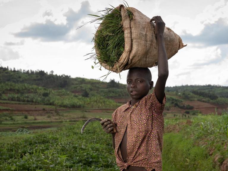 Jean Claude Niyibizi, ein Dreizehnjähriger, mit einem Sack voll geschnittenem Gras in einem Sack, den er auf dem Kopf trägt. Ruanda, 2020.