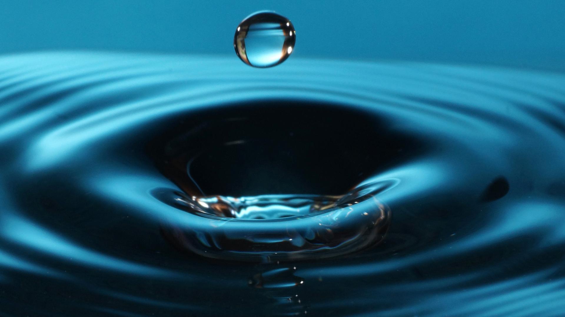 Das Foto zeigt Wasser-Tropfen. Das Foto zeigt Wasser-Tropfen.