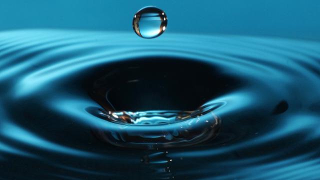 Das Foto zeigt Wasser-Tropfen.
