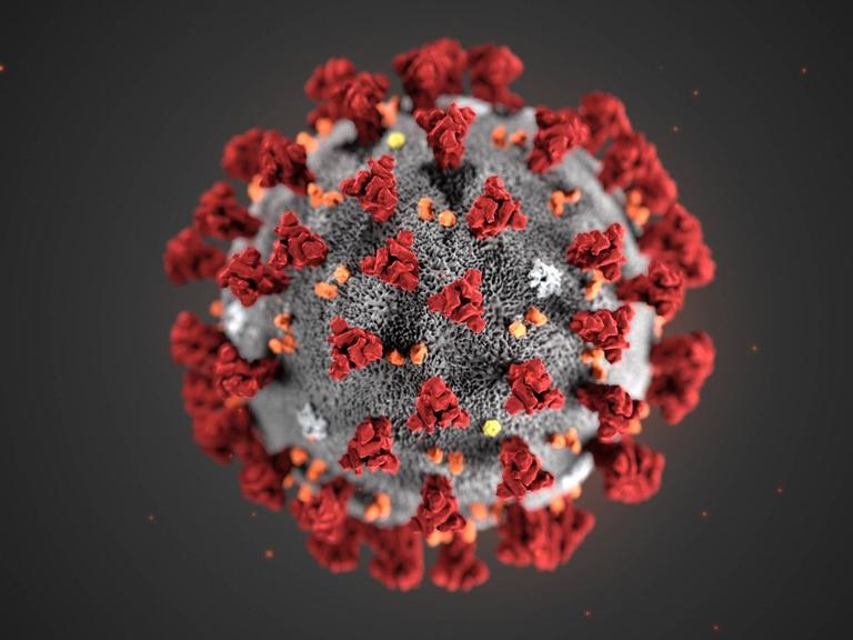 Illustration des Coronavirus nCoV im Jahr 2019.