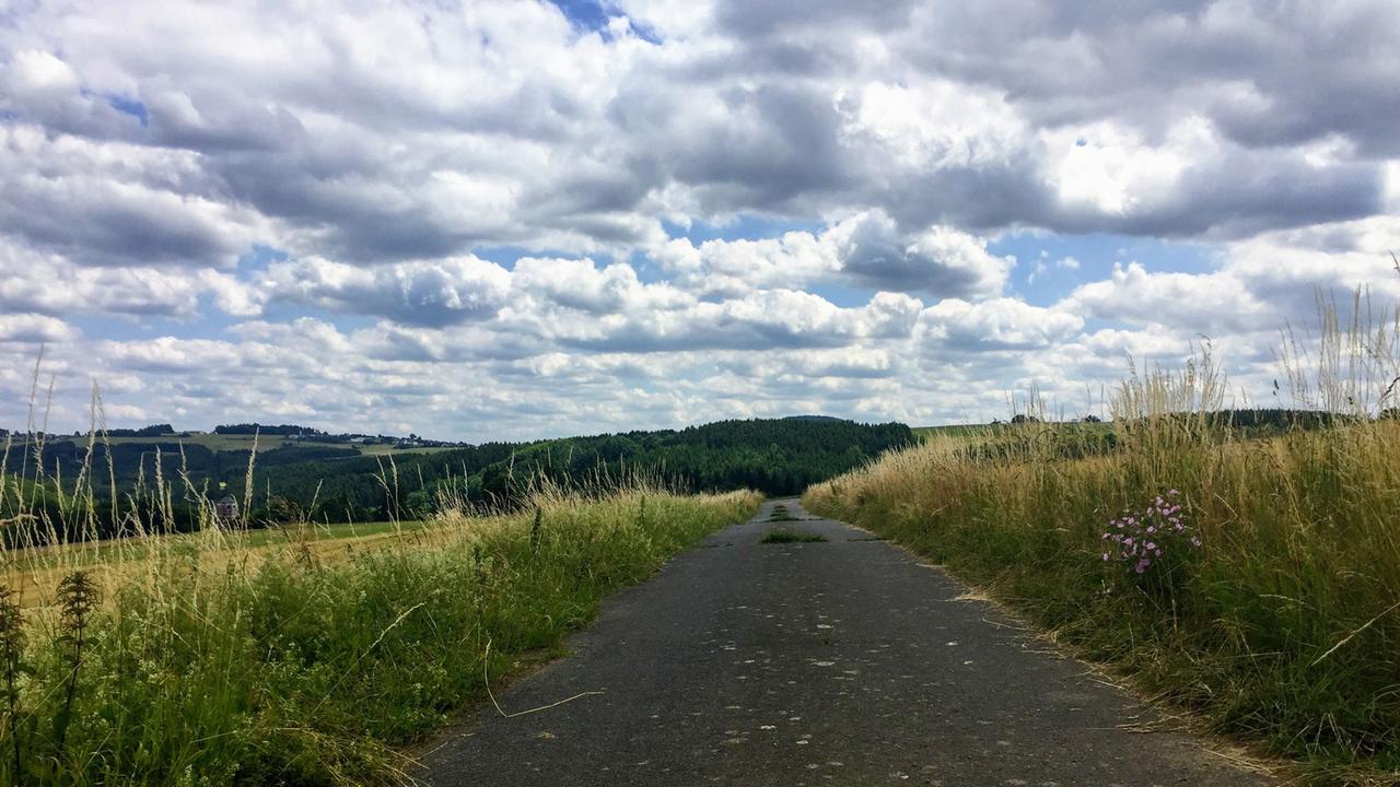 Die Eifel rund um den kleinen Ort Hümmel. Die Eifel rund um den kleinen Ort Hümmel.