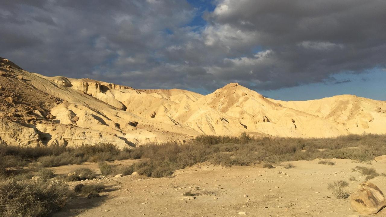 Die Wüste Negev Die Wüste Negev