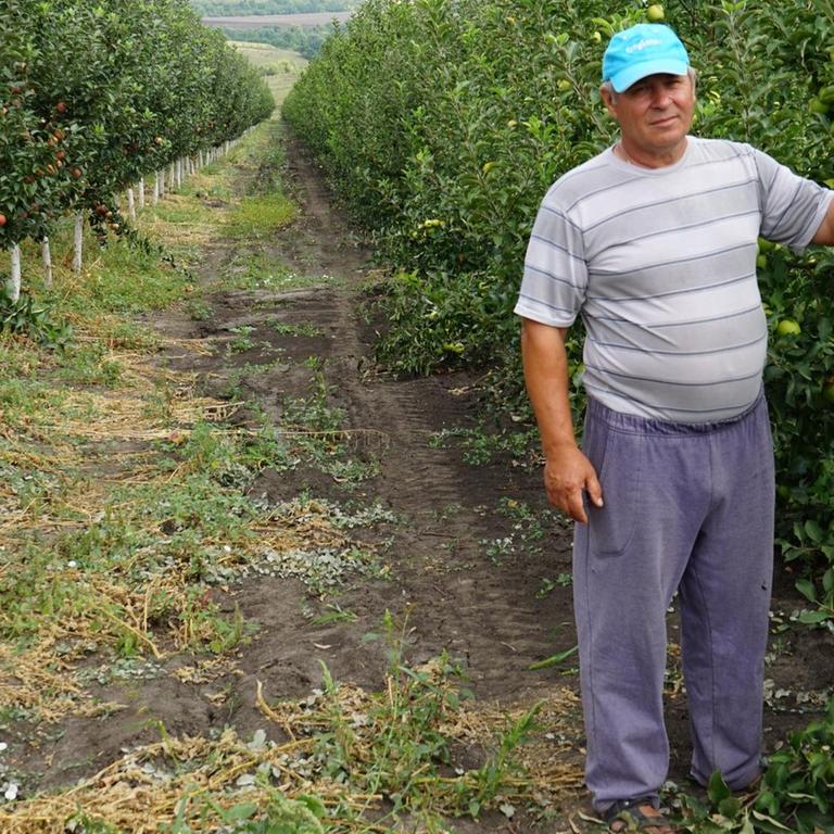 Der moldauische Obstbauer Furdoj in seiner Apfelplantage