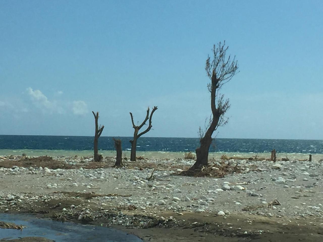 Nach dem Sturm Mathew in Haiti - Reste eines Karibikstrandes. Nach dem Sturm Mathew in Haiti - Reste eines Karibikstrandes.
