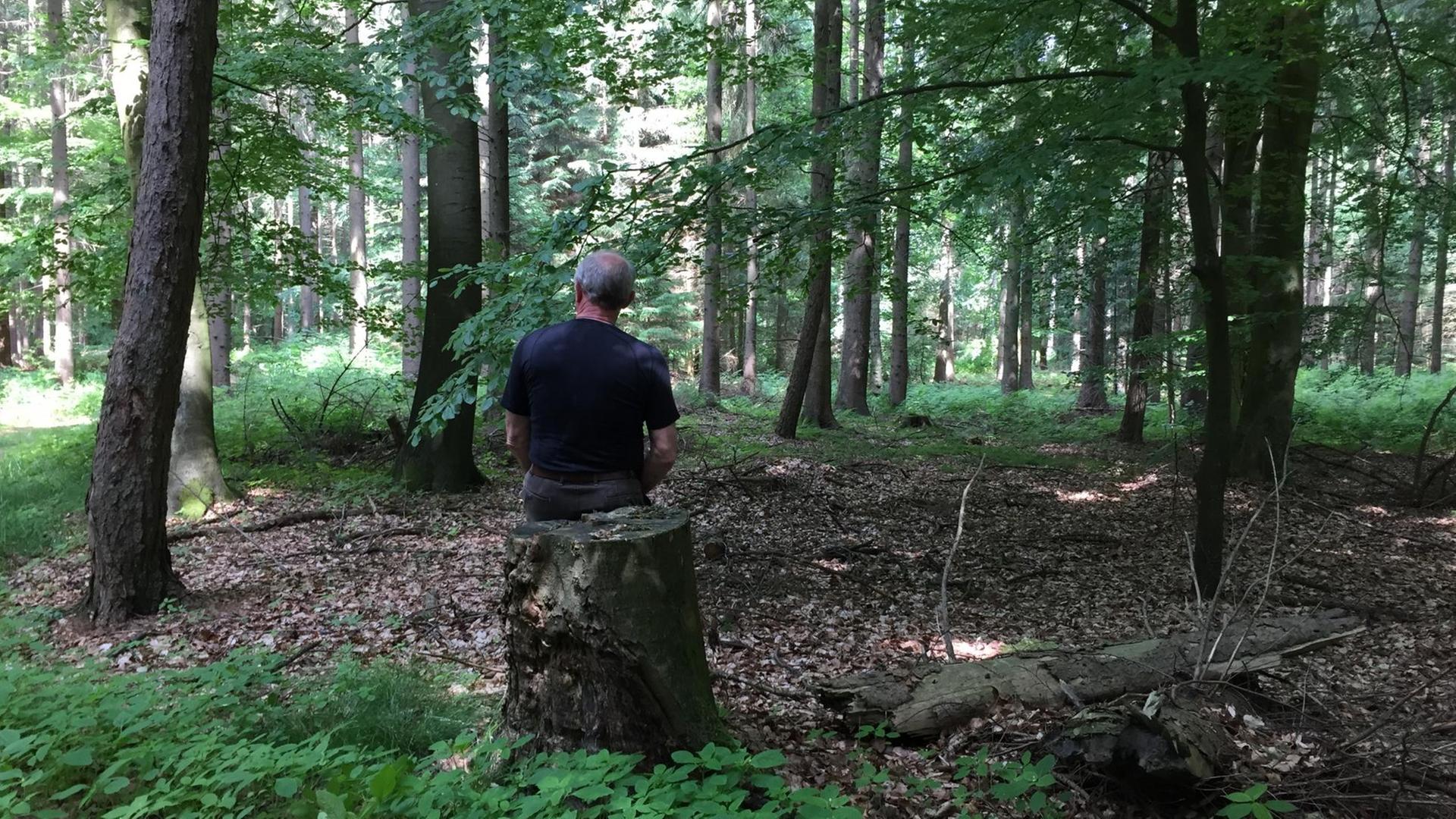Johannes Kulms hat einen Hörer getroffen, der allerdings anonym blieben will. Ein Mann sitzt mit dem Rücken zum Betrachter in einem Waldstück auf einem Stamm. Johannes Kulms hat einen Hörer getroffen, der allerdings anonym blieben will. Ein Mann sitzt mit dem Rücken zum Betrachter in einem Waldstück auf einem Stamm.