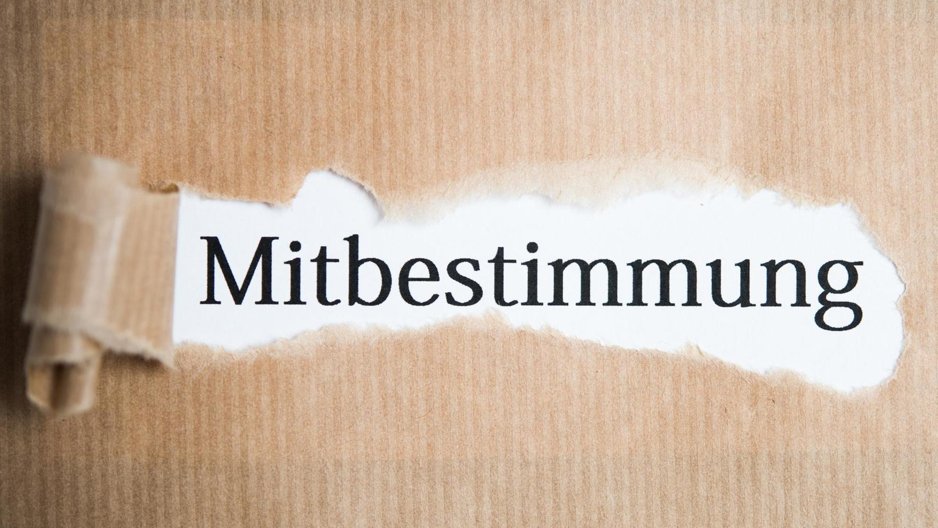 Symbolfoto zum Thema Mitbestimmung, aufgenommen am 05.01.2017 in Oberursel | Verwendung weltweit Symbolfoto zum Thema Mitbestimmung, aufgenommen am 05.01.2017 in Oberursel | Verwendung weltweit