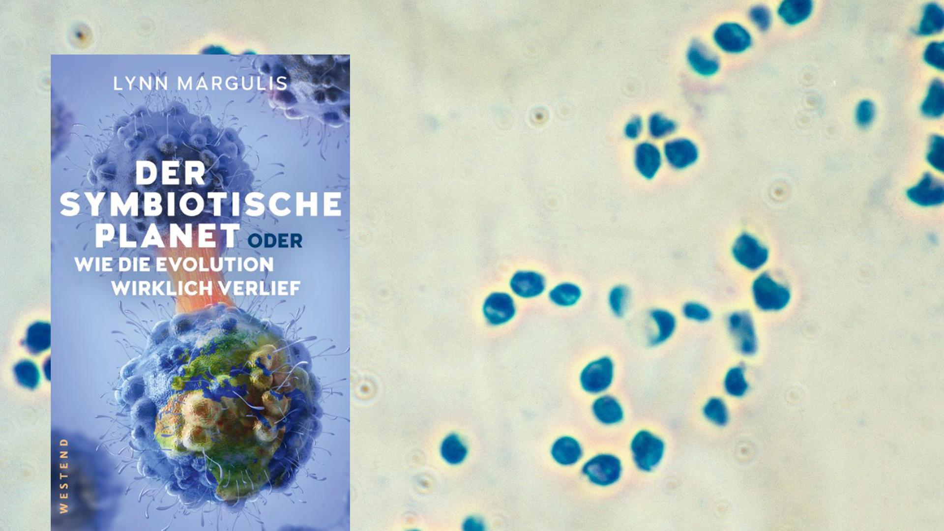Buchcover "Der symbiotische Planet", im Hintergrund mikroskopische Aufnahme von Bakterien Buchcover "Der symbiotische Planet", im Hintergrund mikroskopische Aufnahme von Bakterien
