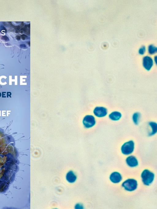 Buchcover "Der symbiotische Planet", im Hintergrund mikroskopische Aufnahme von Bakterien