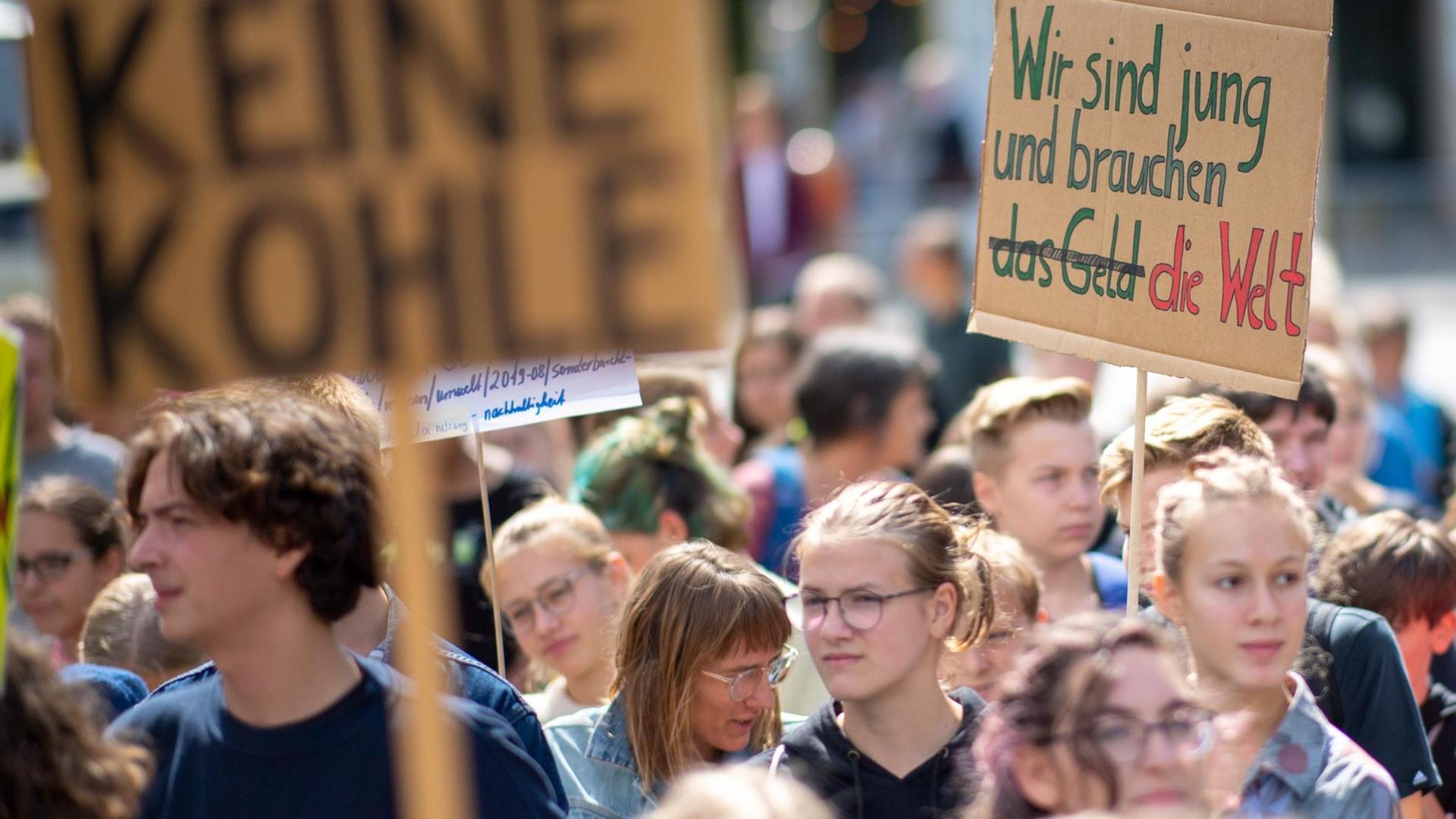 Teilnehmer der "Fridays for Future"-Demonstration stehen mit ihren Transparenten im Invalidenpark in Berlin (16.8.2019). Teilnehmer der "Fridays for Future"-Demonstration stehen mit ihren Transparenten im Invalidenpark in Berlin (16.8.2019).