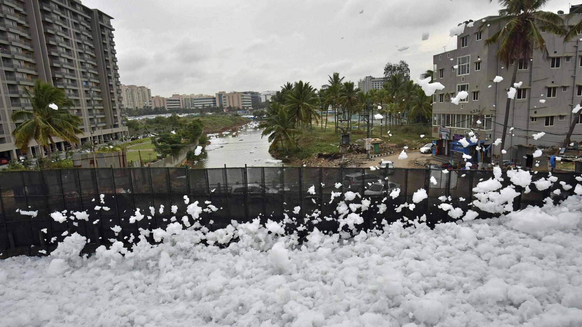 Die chemischen Schaumflocken verdecken Teile des Bellandursees im indischen Bangalore ganz. Kommt Wind auf, fliegen sie durchs Stadtviertel Die chemischen Schaumflocken verdecken Teile des Bellandursees im indischen Bangalore ganz. Kommt Wind auf, fliegen sie durchs Stadtviertel