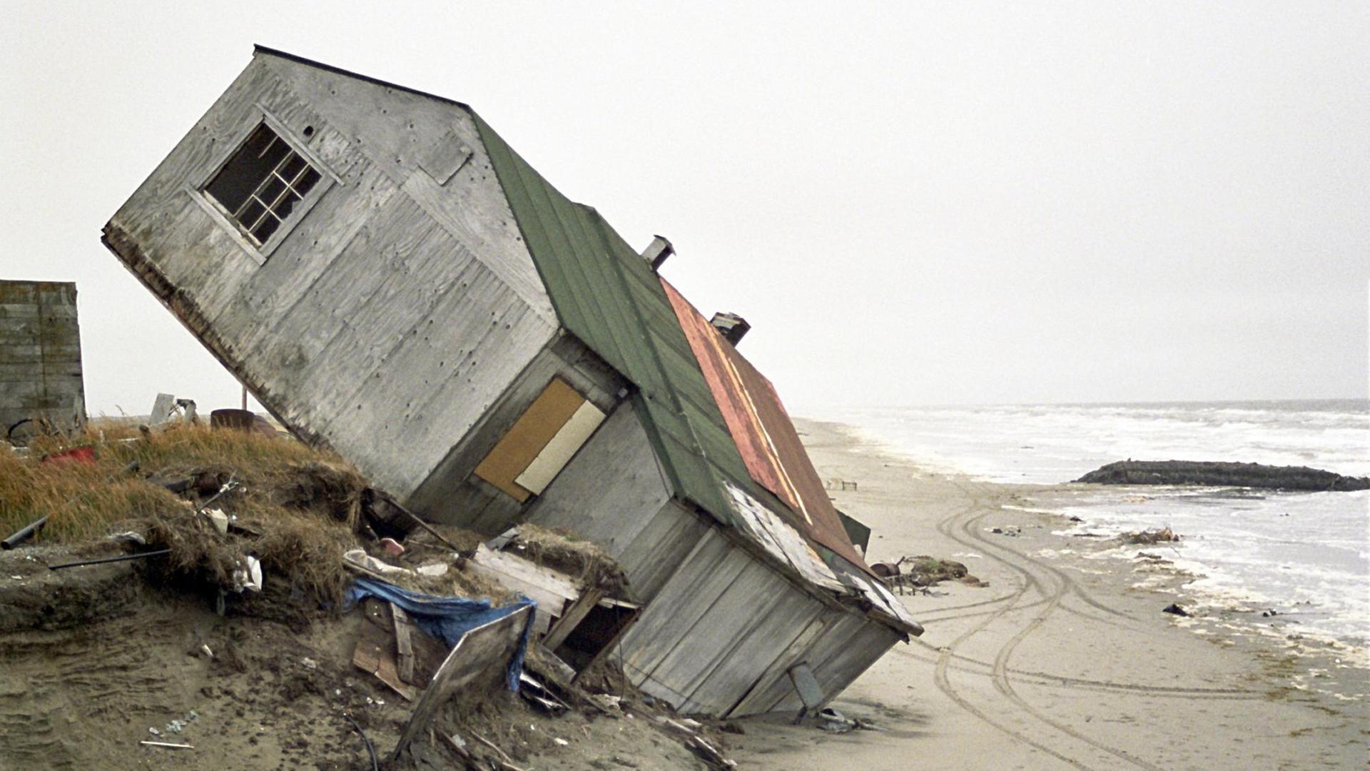 Schräg ragt eine Holzhütte am Wasserrand in die Höhe (undatierte Aufnahme). Das auf einer Insel im Norden Alaskas gelegene Eskimo-Dorf Shishmaref wird vom steigenden Atlantik ausgehöhlt. Einige der knapp 50 Häuser fielen dem Wasser bereits zum Opfer, andere der Inupiat-Familien räumten freiwillig ihren Platz am Meer. Schräg ragt eine Holzhütte am Wasserrand in die Höhe (undatierte Aufnahme). Das auf einer Insel im Norden Alaskas gelegene Eskimo-Dorf Shishmaref wird vom steigenden Atlantik ausgehöhlt. Einige der knapp 50 Häuser fielen dem Wasser bereits zum Opfer, andere der Inupiat-Familien räumten freiwillig ihren Platz am Meer.